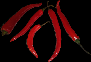 Zoom illustration 6399_Capsicum_annuum_PLM_piment_espelette2.png