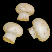 Zoom illustration 872_Agaricus_bisporus_wikimedia_Champignons_de_paris.png