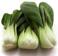 Zoom illustration chou_bokchoy.jpg