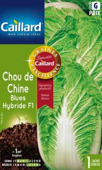 Zoom illustration chou_chinois_blue_hybrid_f1.jpg