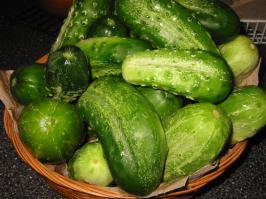Illustration Cornichon