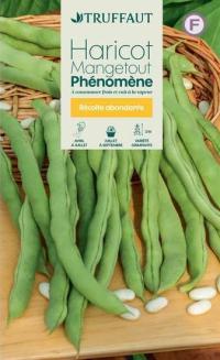 Zoom illustration haricot_rames_mangetout_phenomene.jpg