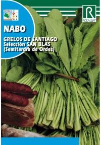 Zoom illustration navet_grelos_santiago.jpg