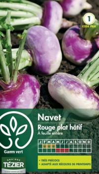 Zoom illustration navet_rouge_plat_hatif.jpg