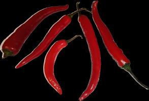 Zoom illustration piment_espelette.png