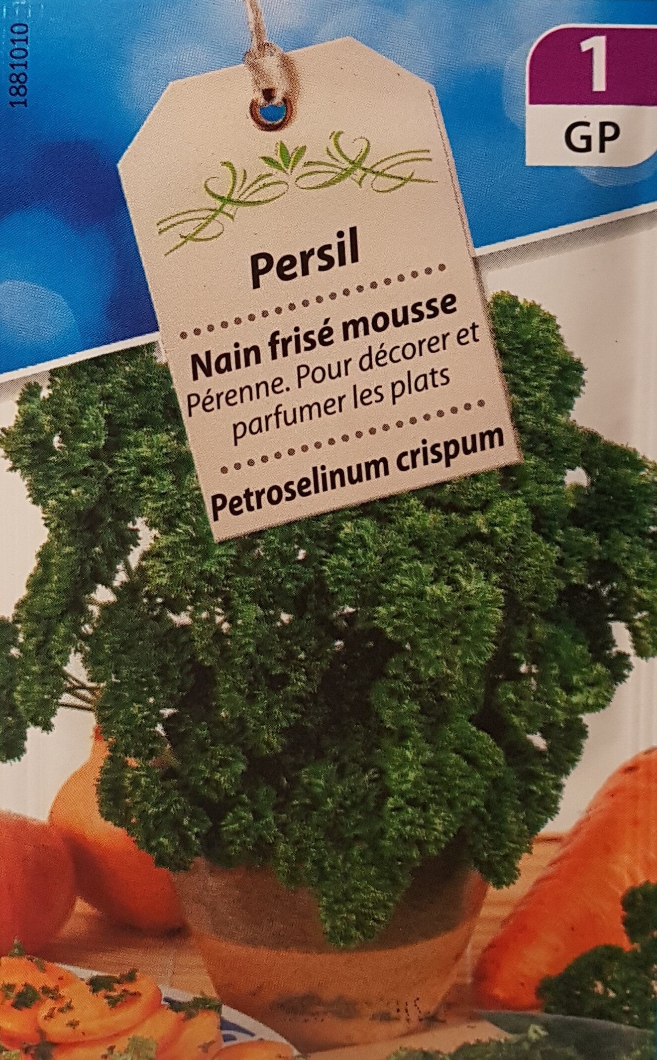 Illustration Petroselinum crispum var. crispum cv. 'Nain frisé mousse', Par inconnu, via x 