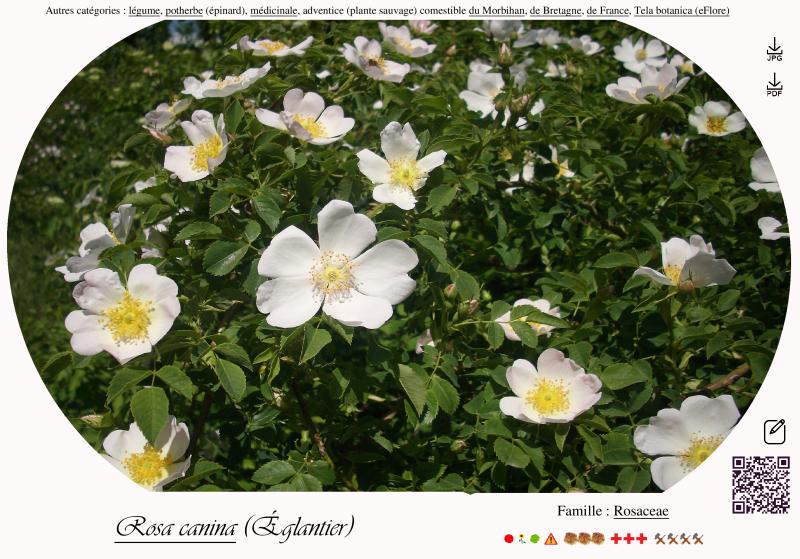 Photo pho28
