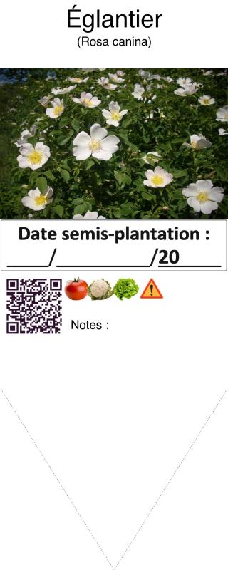 Photo pho1