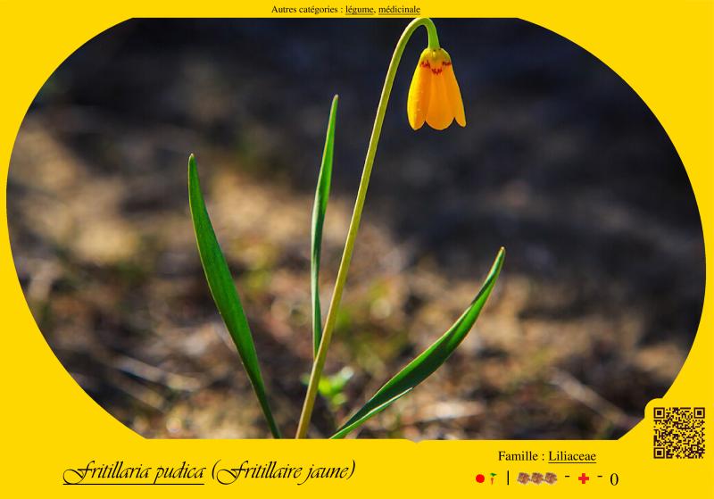 Photo pho9