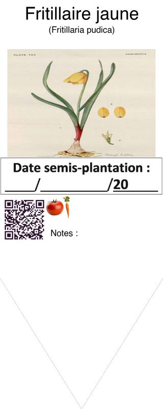 Photo pho1