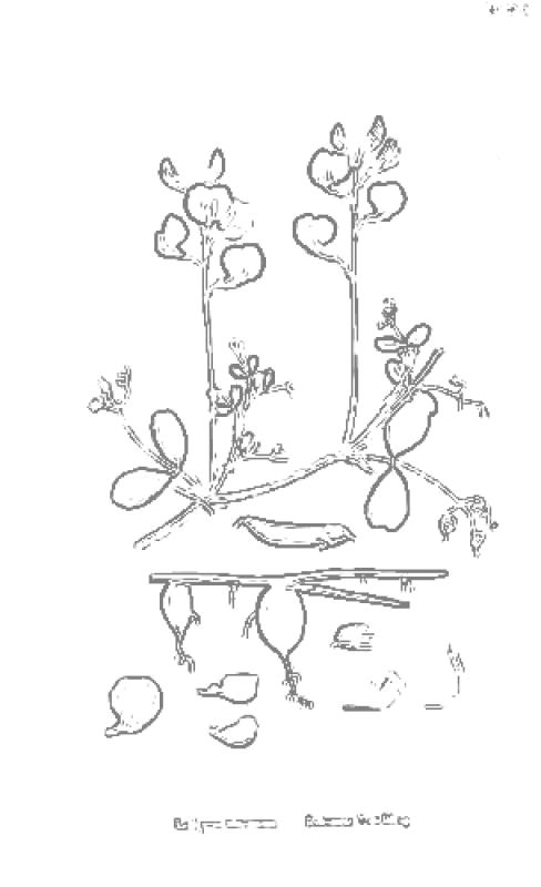 Photo pho13