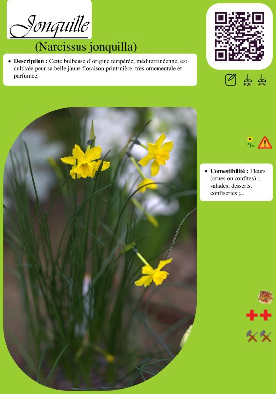 Photo pho29