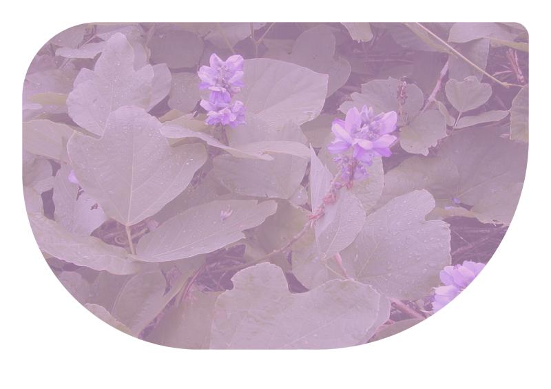 Photo pho10