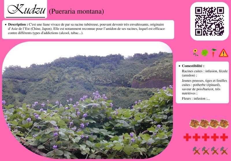 Photo pho27