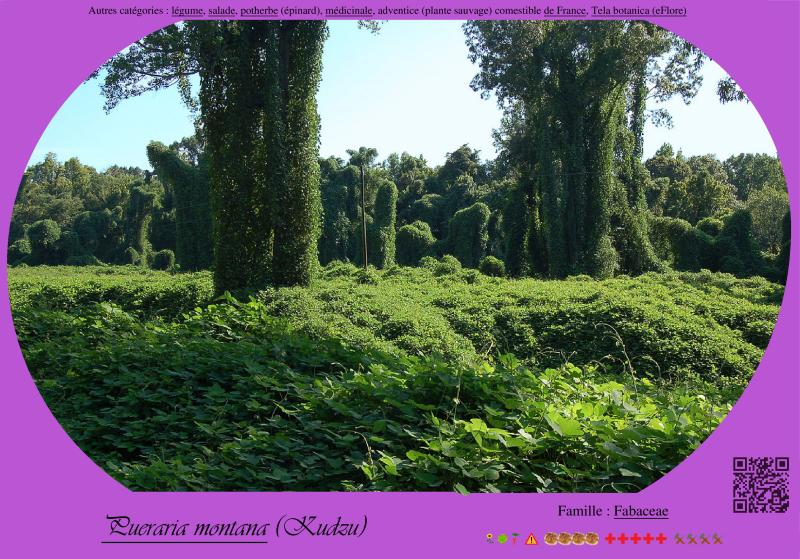 Photo pho29