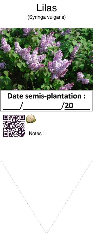 Photo pho1