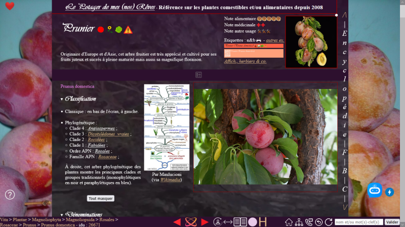 Photo pho42