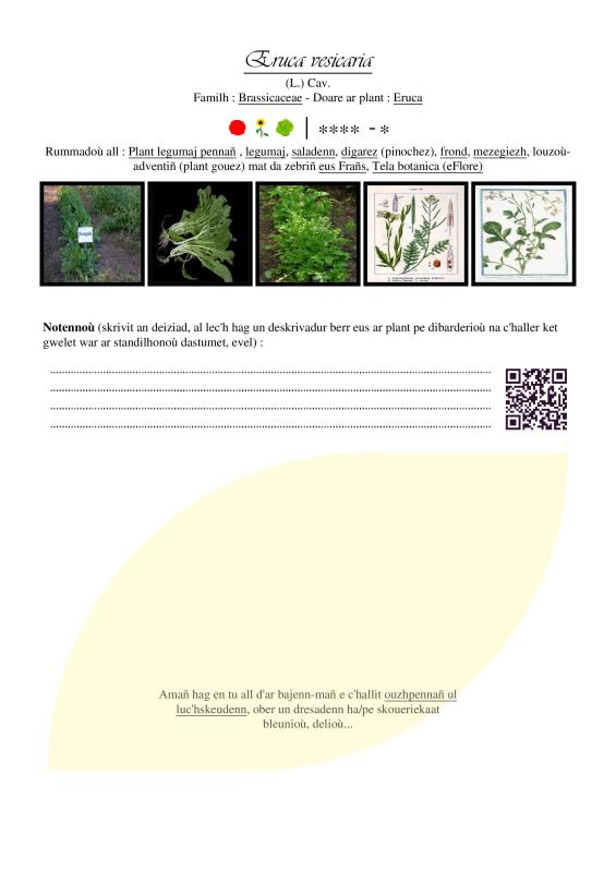 Photo pho23