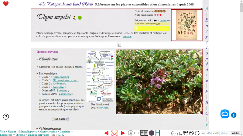Photo pho14