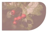 Miniature pho10