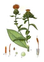 Miniature pho9