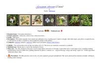 Miniature pho7