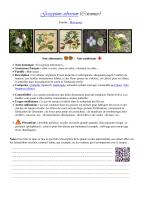 Miniature pho15