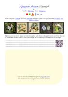 Miniature pho21