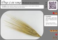 Miniature pho25