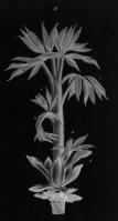 Miniature pho36