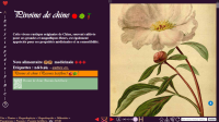 Miniature pho17