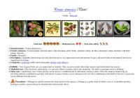 Miniature pho13