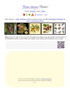 Miniature pho19
