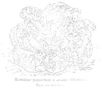 Miniature pho29