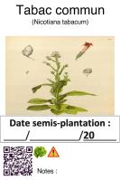 Miniature pho2