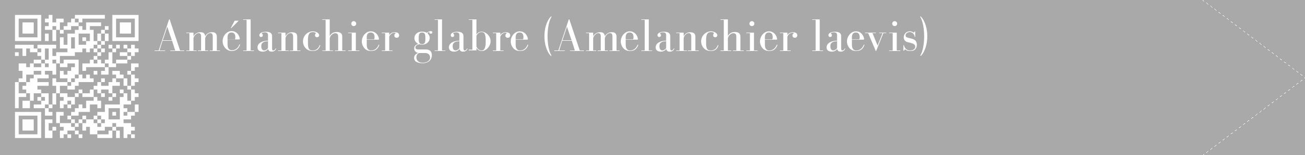 Étiquette de : Amelanchier laevis - format c - style blanche13_simple_simplebod avec qrcode et comestibilité