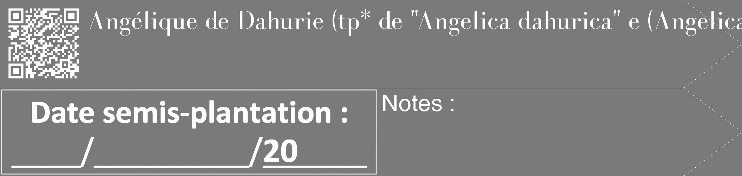 Étiquette de : Angelica dahurica - format c - style blanche3_simple_simplebod avec qrcode et comestibilité