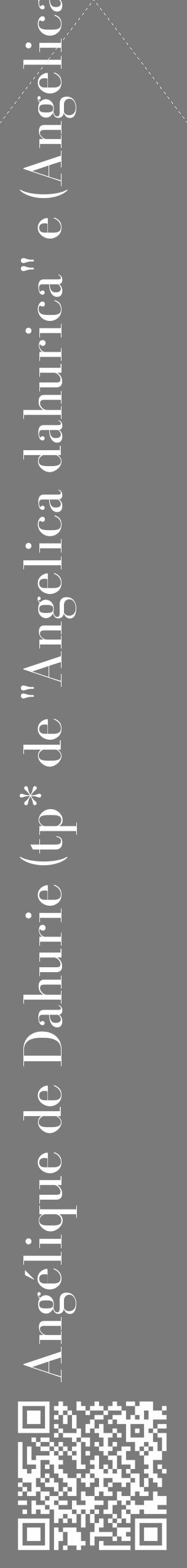 Étiquette de : Angelica dahurica - format c - style blanche3_simple_simplebod avec qrcode et comestibilité - position verticale