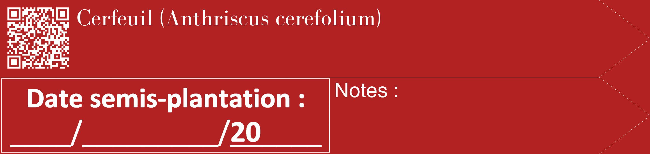 Étiquette de : Anthriscus cerefolium - format c - style blanche28_simple_simplebod avec qrcode et comestibilité