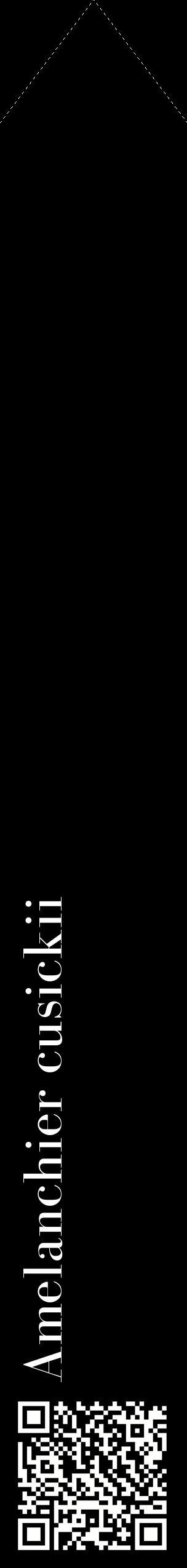 Étiquette de : Amelanchier cusickii - format c - style blanche59_simplebod avec qrcode et comestibilité