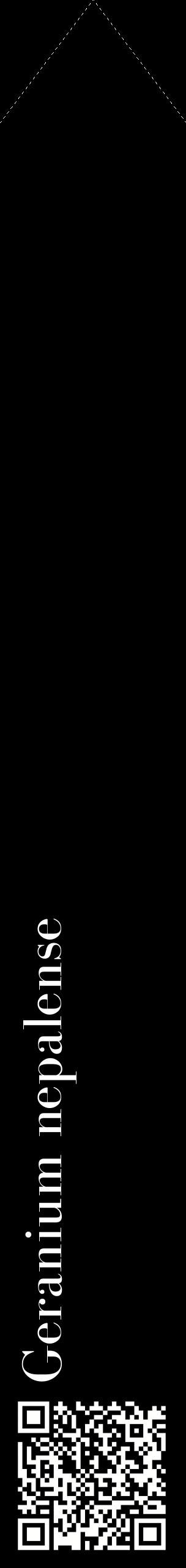 Étiquette de : Geranium nepalense - format c - style blanche59_simplebod avec qrcode et comestibilité
