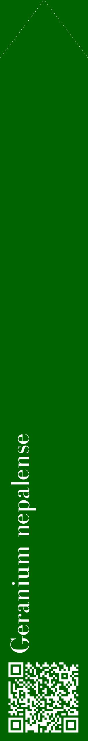 Étiquette de : Geranium nepalense - format c - style blanche8_simplebod avec qrcode et comestibilité