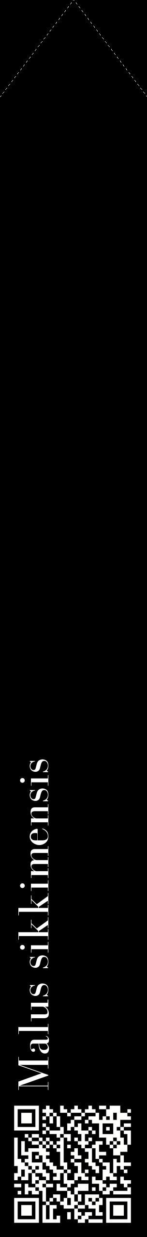 Étiquette de : Malus sikkimensis - format c - style blanche59_simplebod avec qrcode et comestibilité