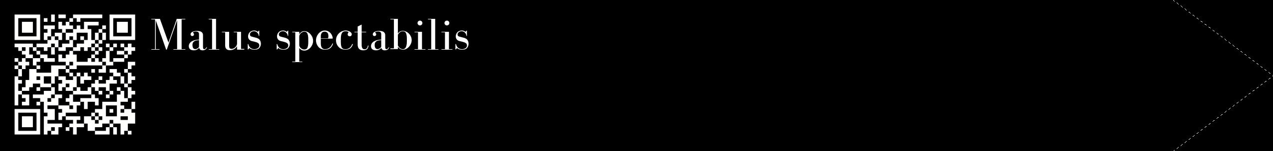 Étiquette de : Malus spectabilis - format c - style blanche59_simplebod avec qrcode