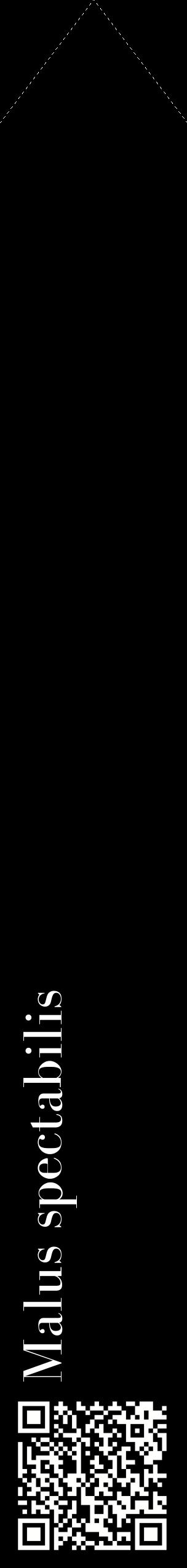 Étiquette de : Malus spectabilis - format c - style blanche59_simplebod avec qrcode