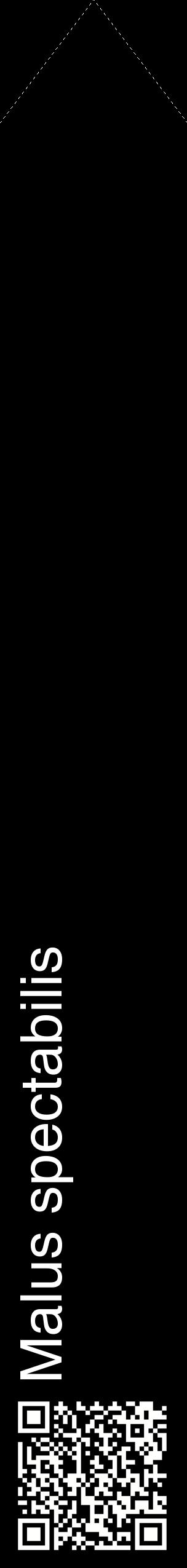 Étiquette de : Malus spectabilis - format c - style blanche59_simplehel avec qrcode et comestibilité