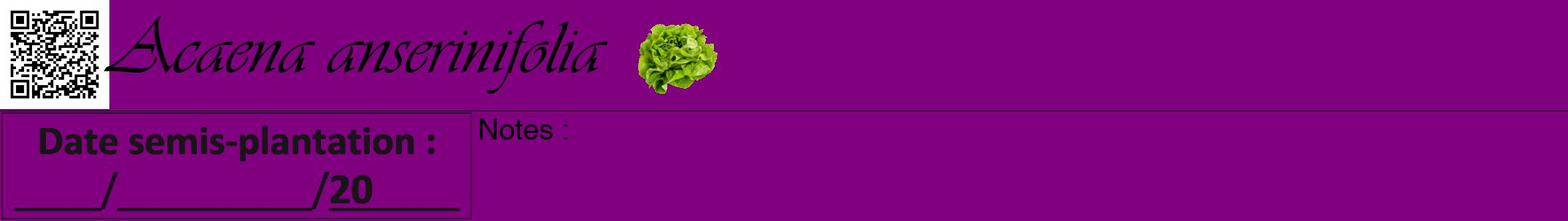 Étiquette de : Acaena anserinifolia - format a - style noire46simpleviv avec qrcode et comestibilité simplifiée