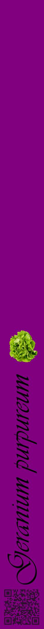 Étiquette de : Geranium purpureum - format a - style noire46viv avec qrcode et comestibilité simplifiée