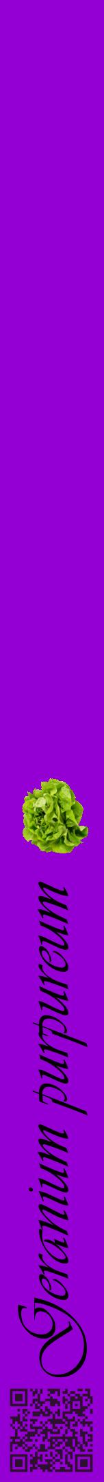 Étiquette de : Geranium purpureum - format a - style noire48viv avec qrcode et comestibilité simplifiée