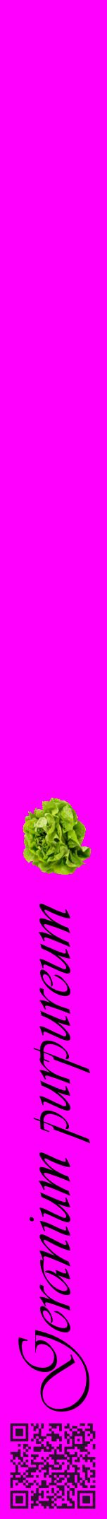 Étiquette de : Geranium purpureum - format a - style noire51viv avec qrcode et comestibilité simplifiée